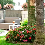 Hotell Elisio &